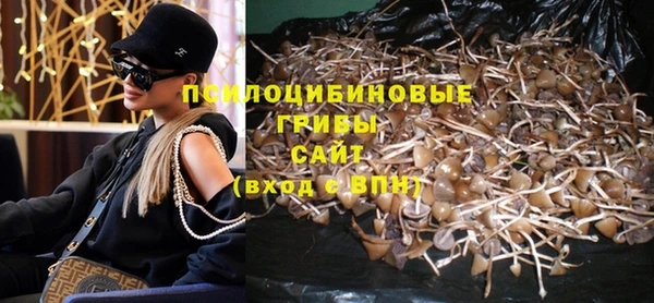бошки Арсеньев