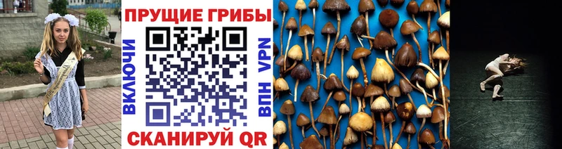 где купить   Североморск  Псилоцибиновые грибы прущие грибы 